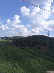 1000024412