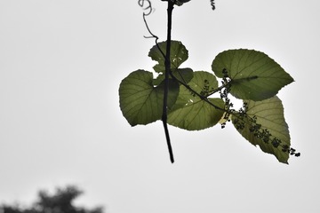 微电影 (161)_