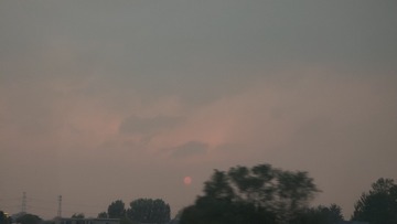 1000017442
