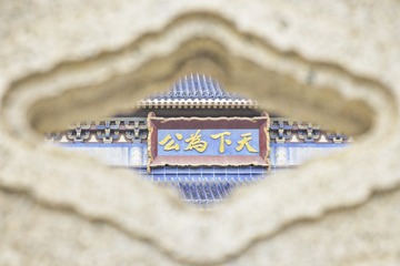 1000061246