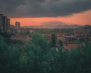 20250528