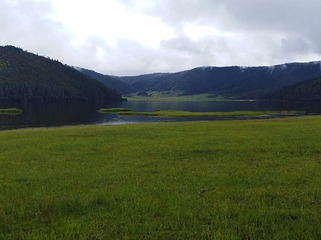 1000002014