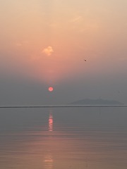 001