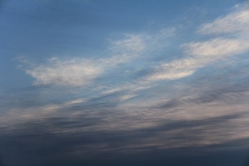 1000022645