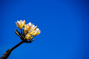 358075