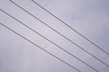 1000029102