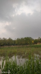 1000200163
