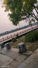 1000203636