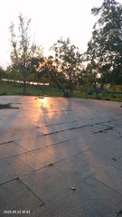 1000204113