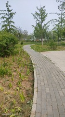 1000203676