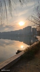 1000180369