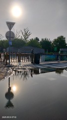 1000201228