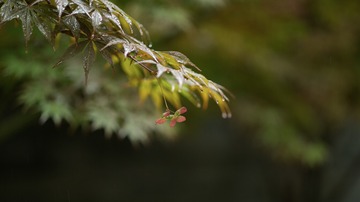 L1009298