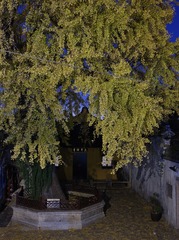 221A61FE-B001-494B-A5FD-8089DE13213B/L0/001