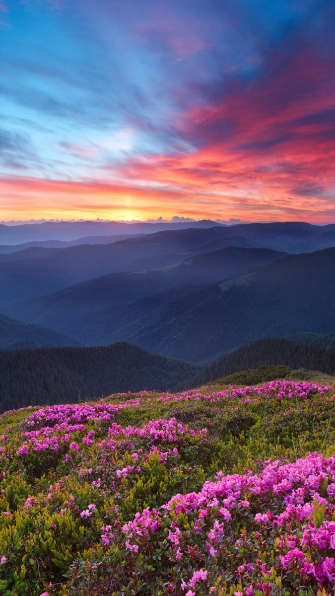 追云逐海 - 图虫网 - 最好的摄影师都在这