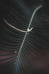 15100
