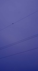 1000002218