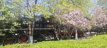 262315
