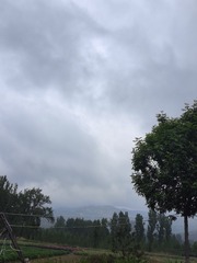1000032898