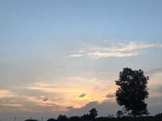 1000049664