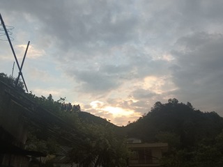 1000041130