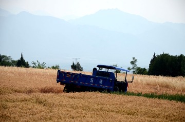 DSC_4289_副本