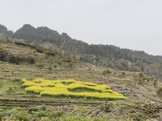 1000006715