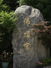 1000006167