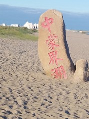 1000084176