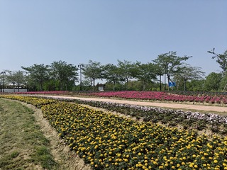 1000007331