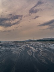 1000015817