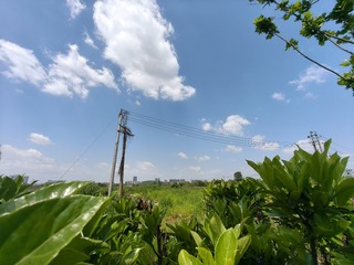 1000010256