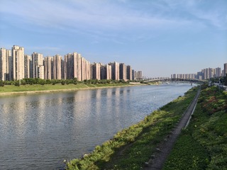 1000016753