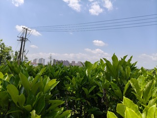 1000010261