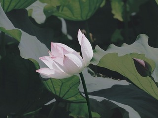 1000097253