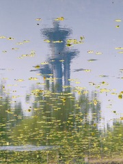 1000064451