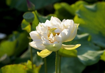 001