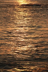 1000105377