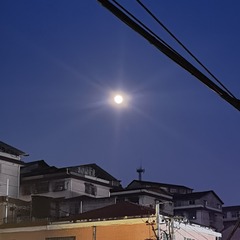 101841