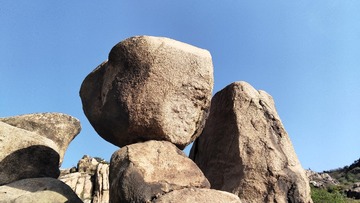 1000011916