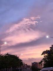 1000292157