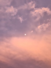 1000292156