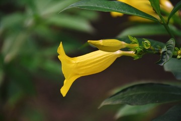 1000145416