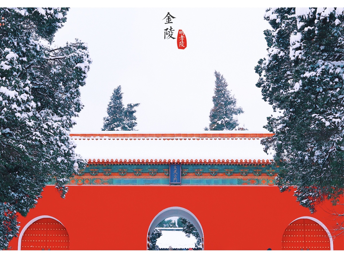 南京 | 明孝陵 | 雪 br /> 腊月十二 摄7615 br /> 一下雪,南京就