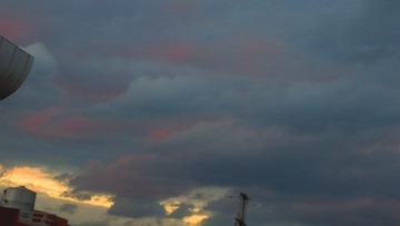 IMG_0877.JPG