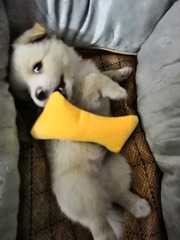 1000001034