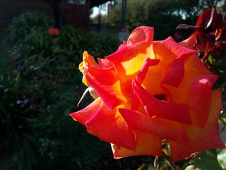 1120128