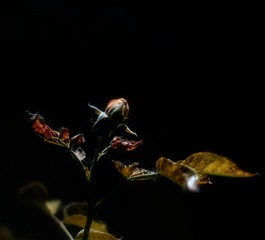201037