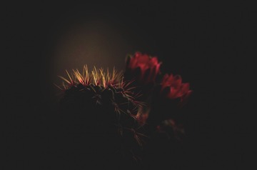 201610
