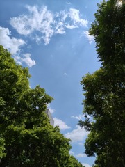 1000003961